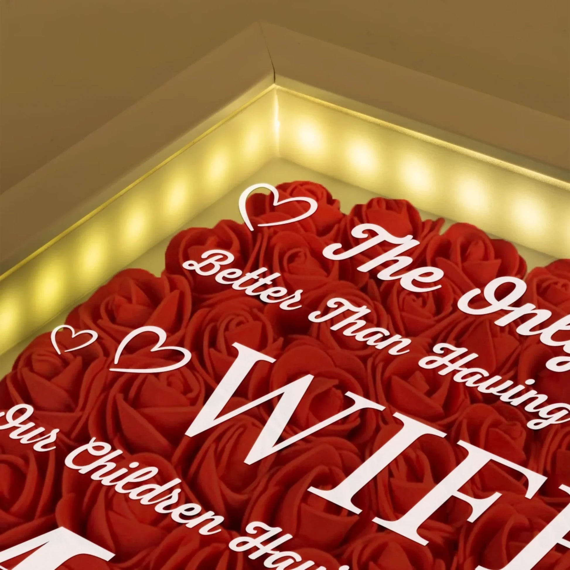 Having You As My Wife Shadow box 2