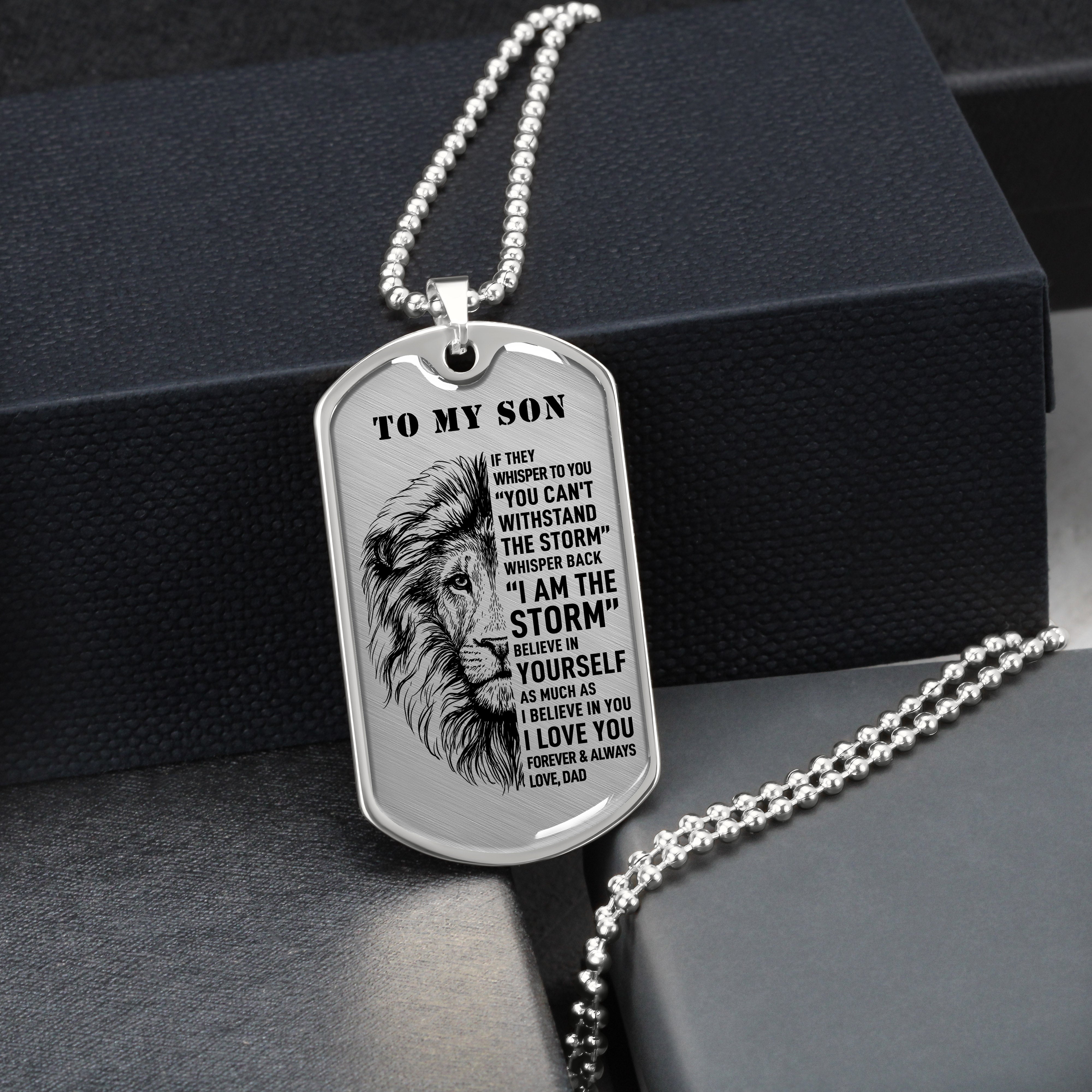 To My Son - I Am The Storm, Meaningful DogTag Necklace Gift Son