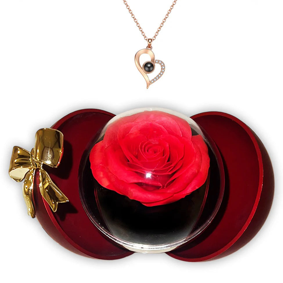 I Love You 100 Languages Necklace With Luxury Forever Rose Box