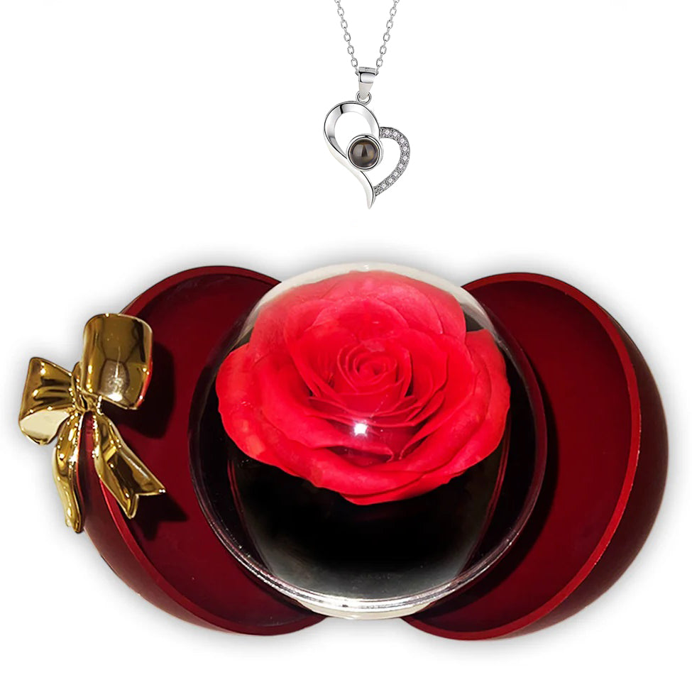 I Love You 100 Languages Necklace With Luxury Forever Rose Box