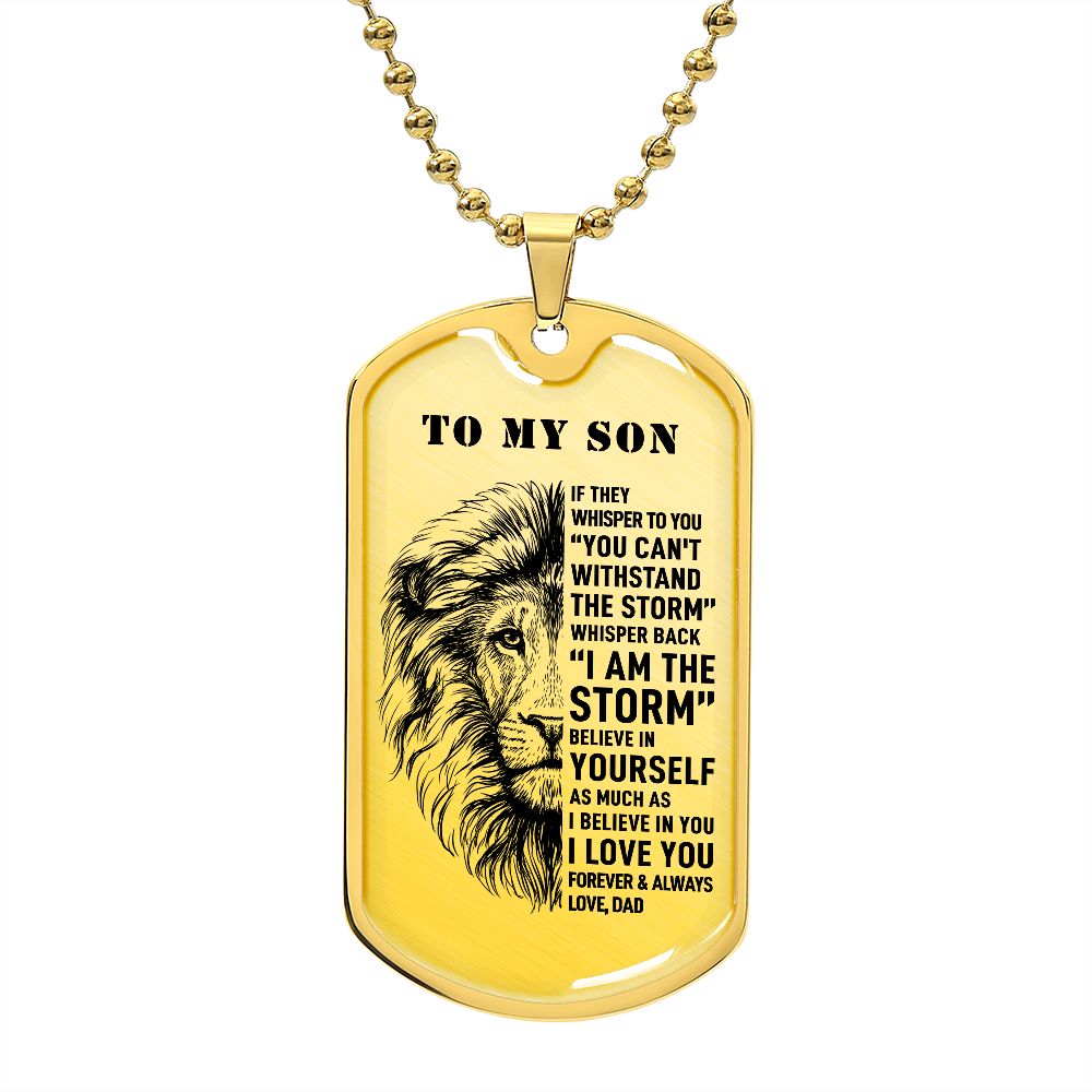 To My Son - The Storm, DogTag Necklace Gift Son