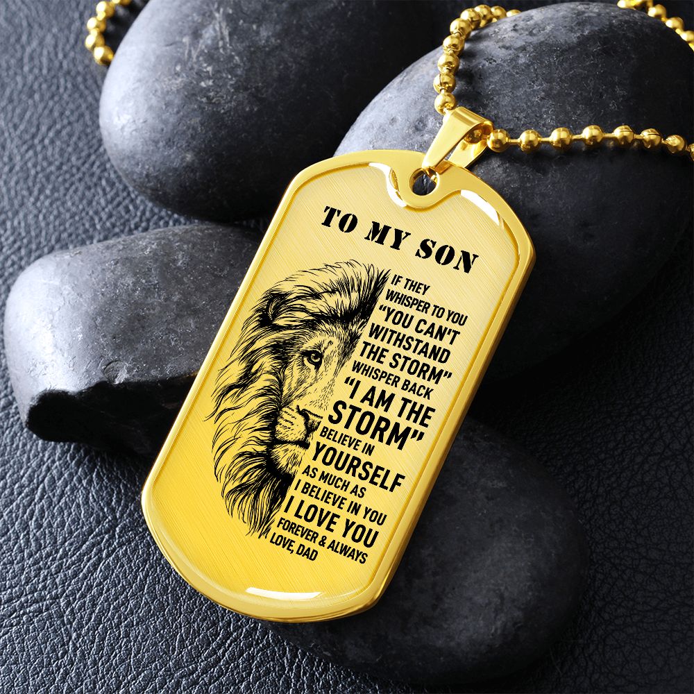 To My Son - I Am The Storm, Meaningful DogTag Necklace Gift Son